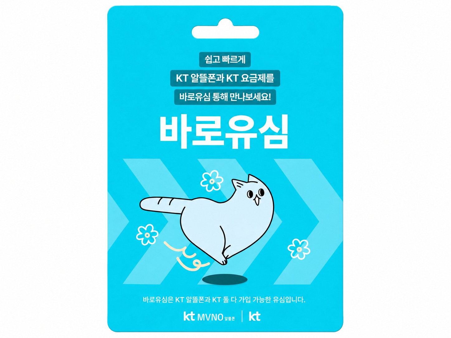 KT 바로유심 실물 패키지